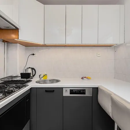 Danuty Siedzikowny Inki 12 By Homeprime *